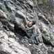 Un paleontólogo excavando en los Alpes suizos en 1976